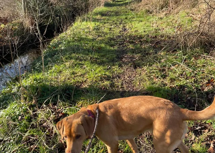 펜션 Station Road *