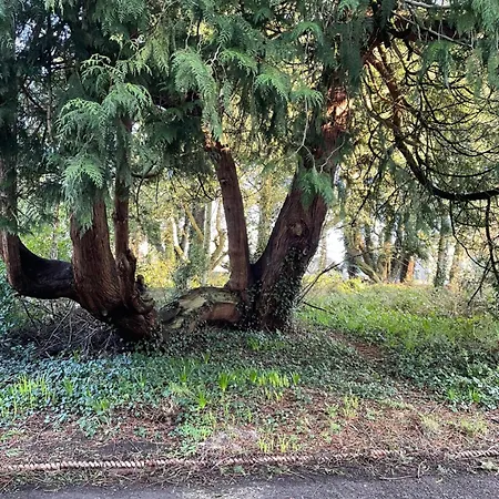 Station Road Σπίτι διακοπών