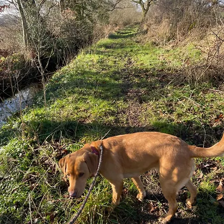 Σπίτι διακοπών Station Road *