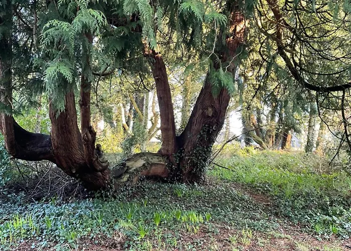 Station Road Holiday home